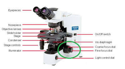 mikroskop.jpg